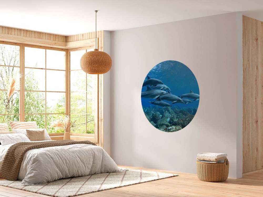 Dauphins et rochers
