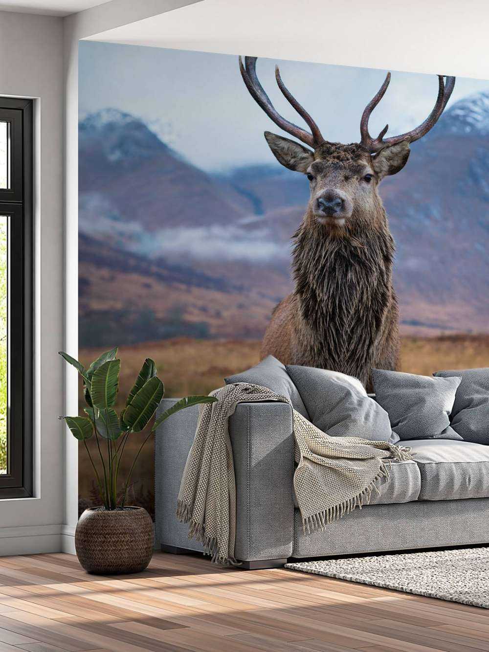 Cerf dans les montagnes