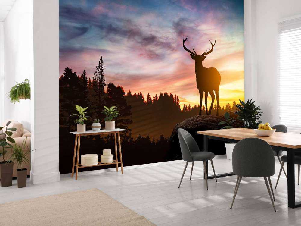 Cerf pendant le coucher du soleil