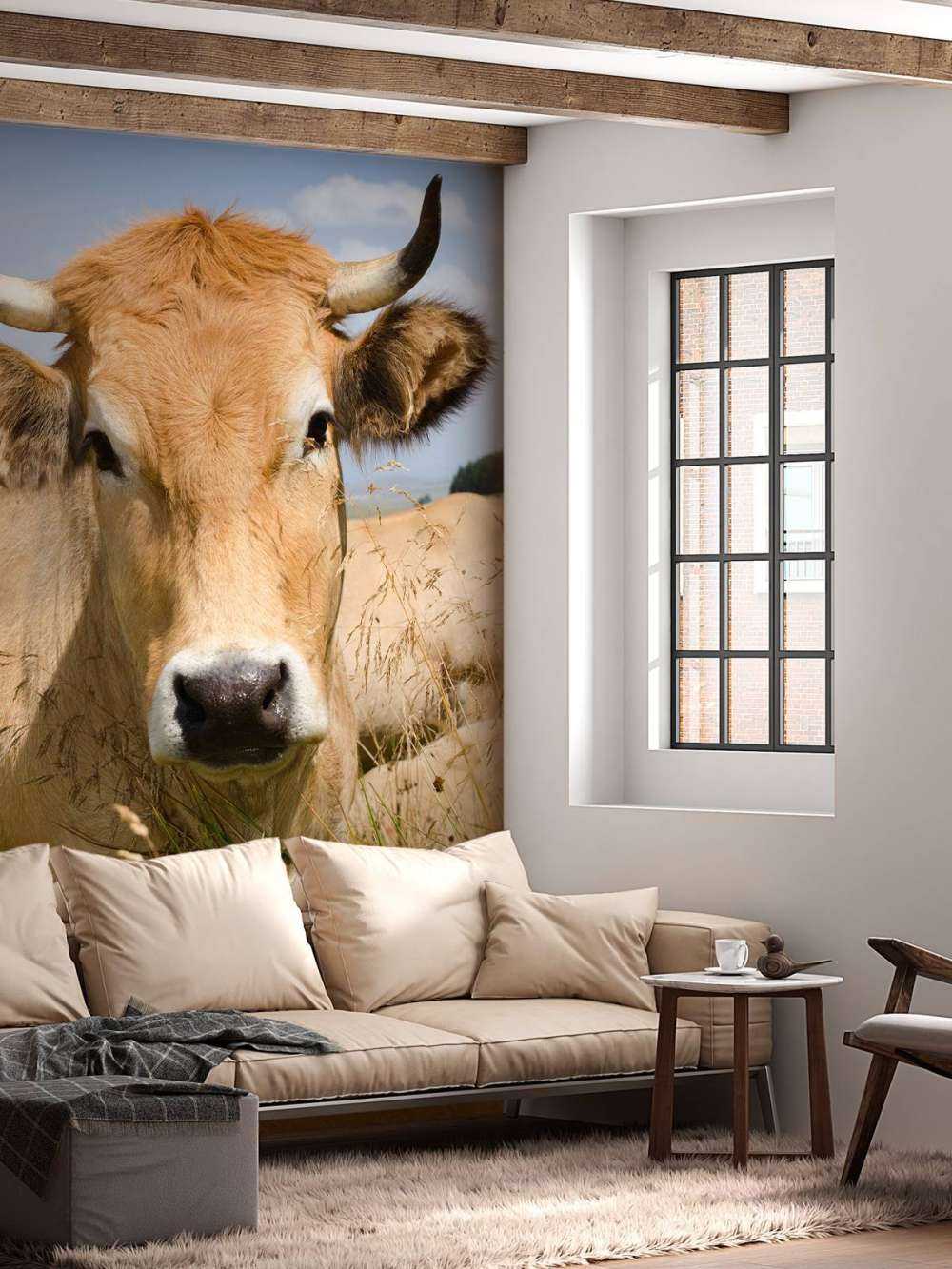 Vache à cornes