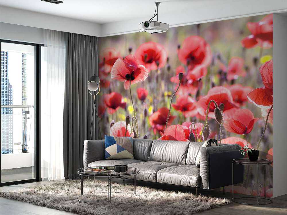 Des coquelicots au look vintage