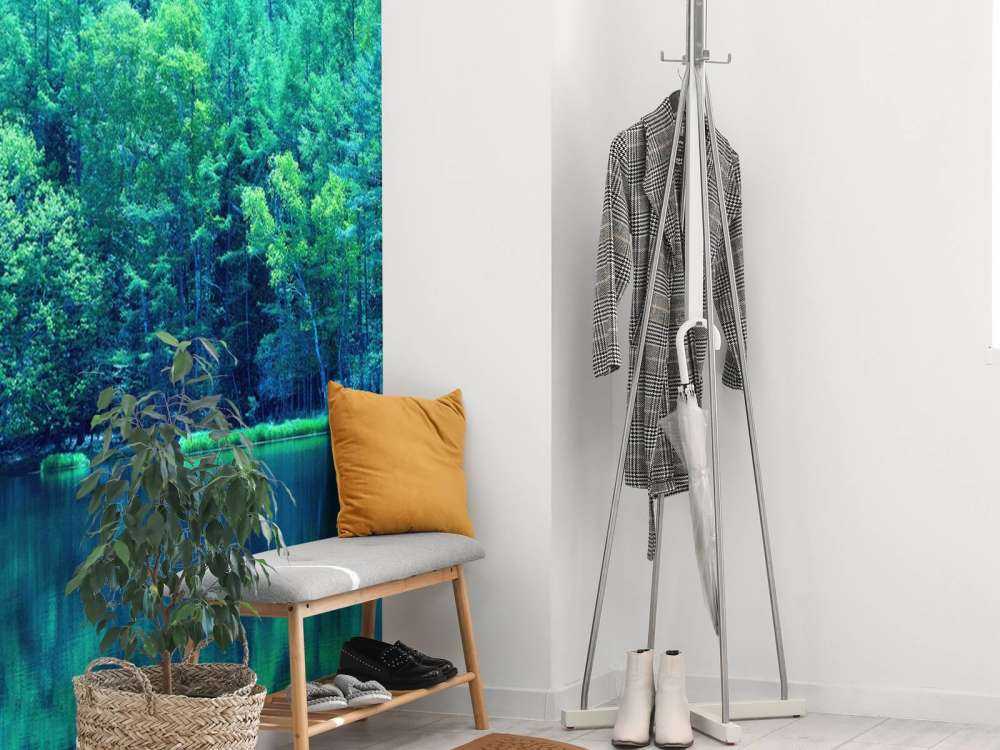 Lac dans une forêt verte