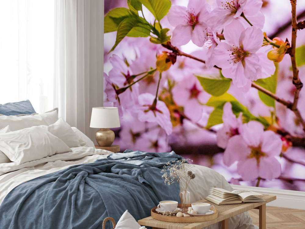 Fleurs roses avec pétales