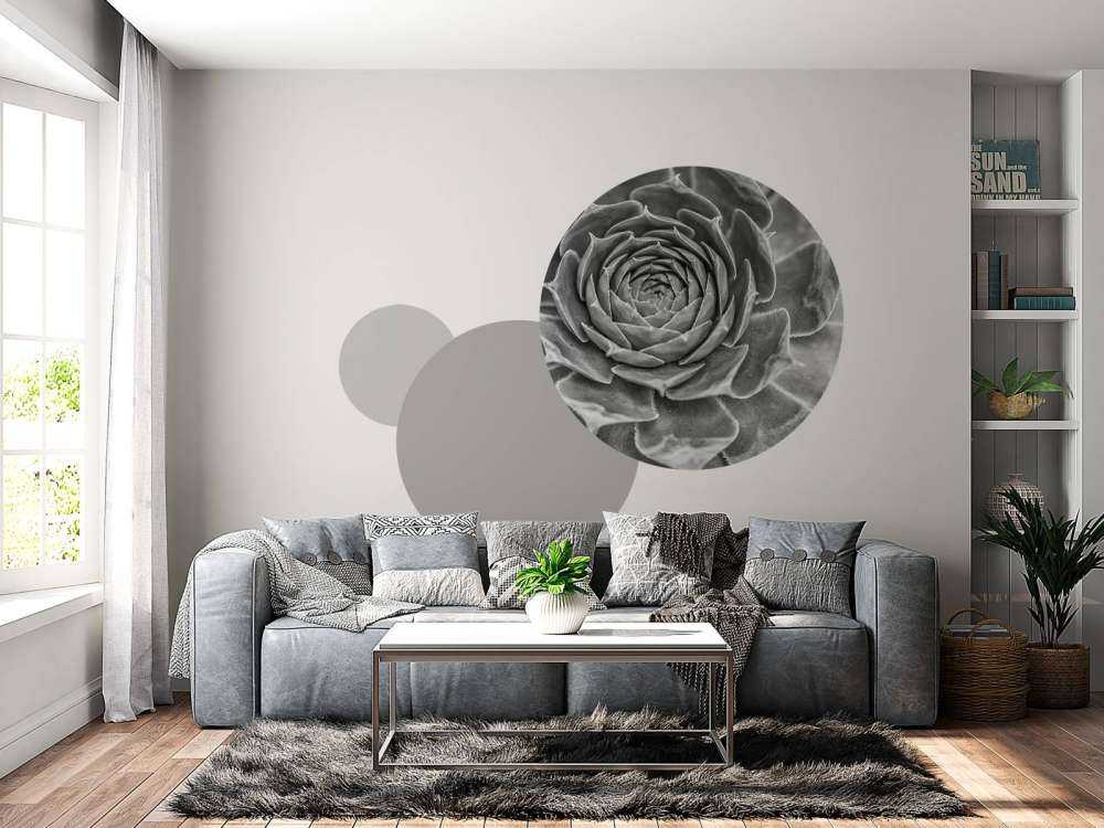 Gros plan sur une succulente