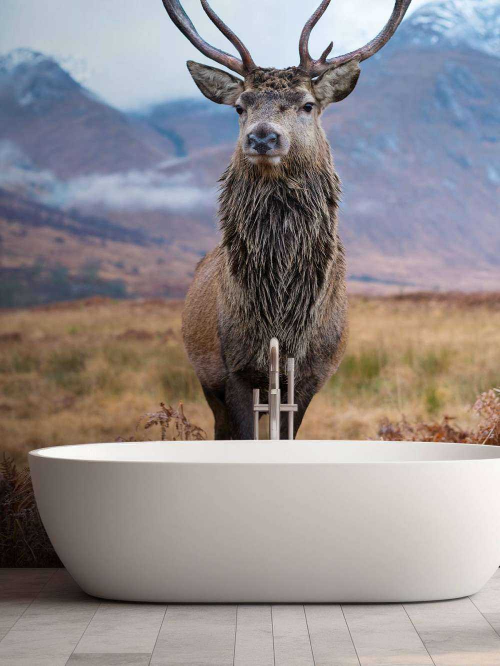 Cerf dans les montagnes