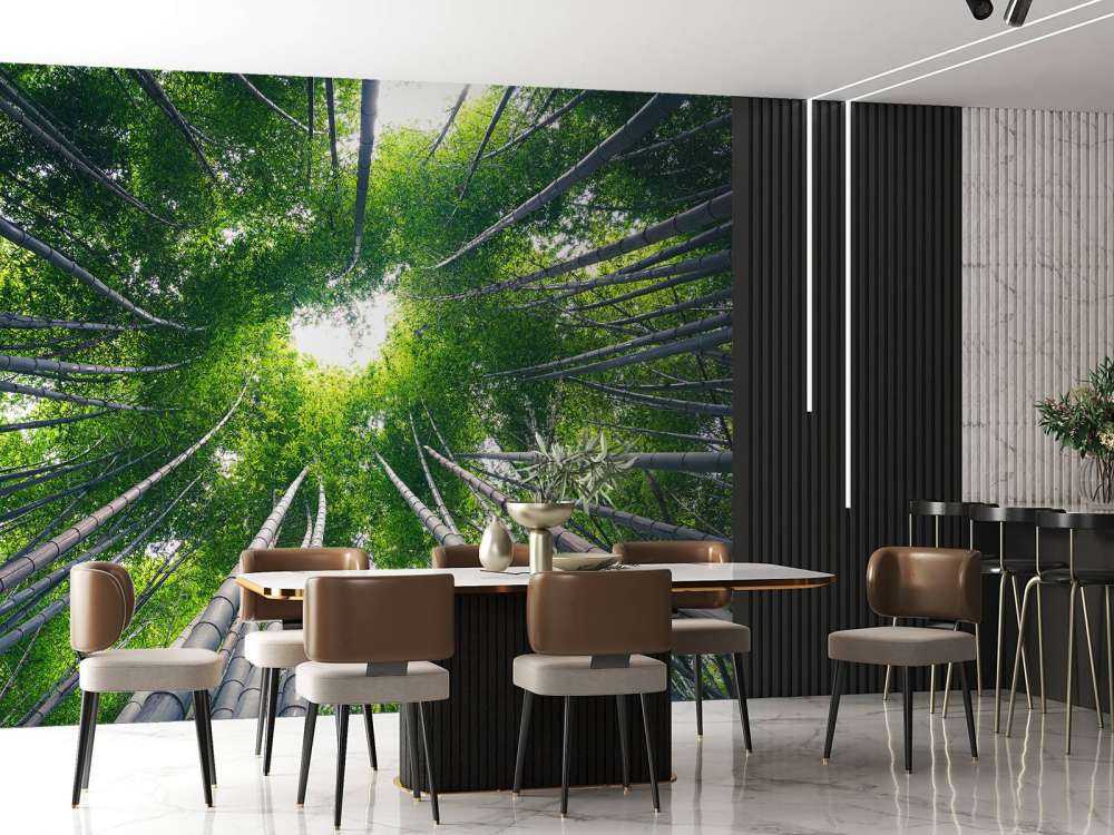 Forêt avec bambou