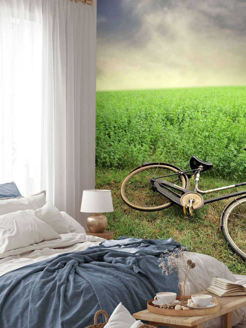 Vieux vélo