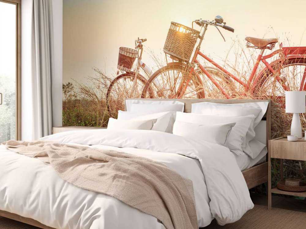 Vélos vintage