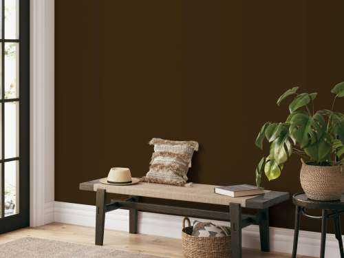 Marron olive