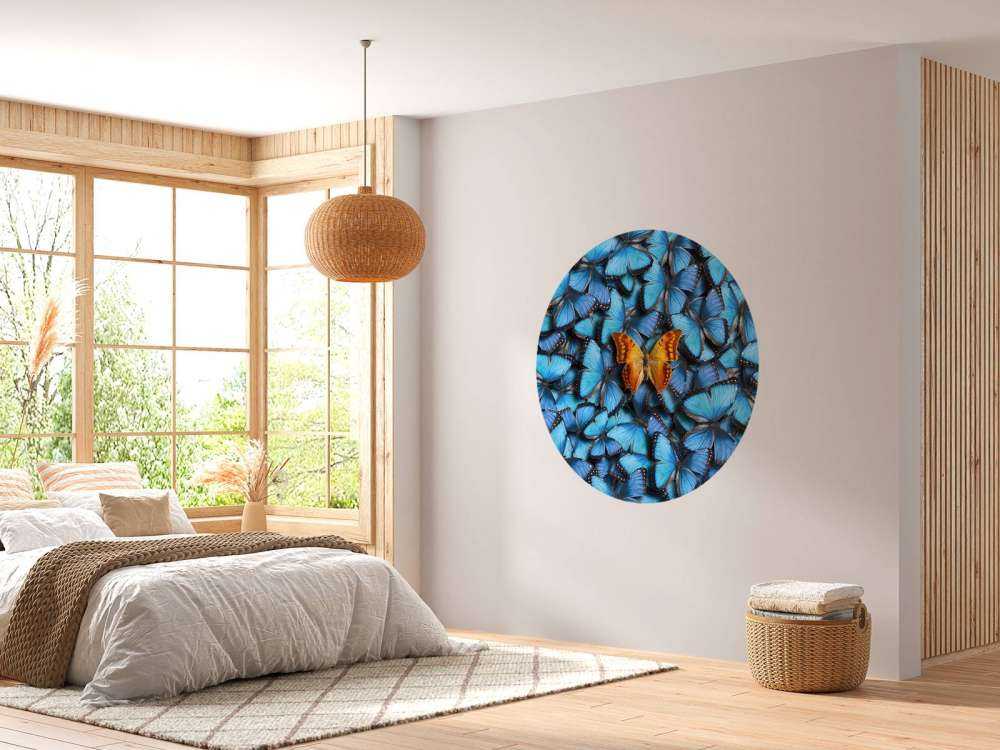 Composition du papillon