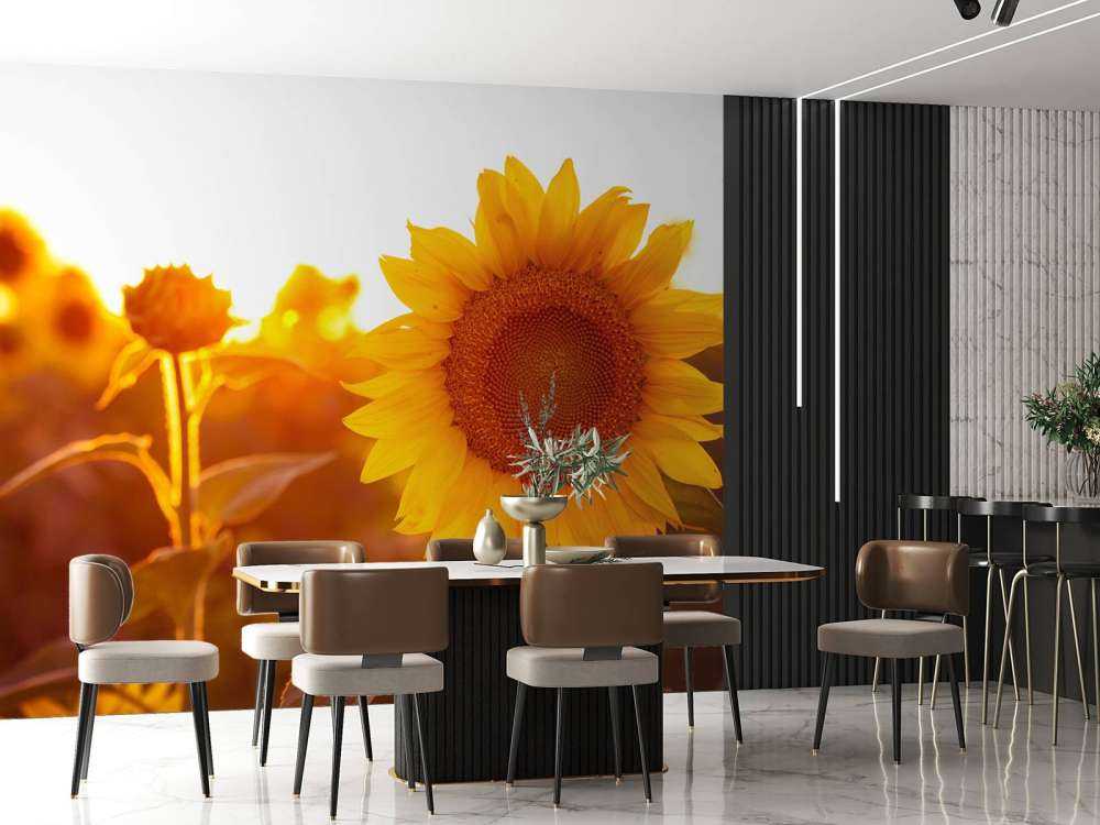 Champ de tournesol chaud
