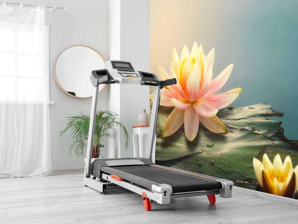 Étang avec fleurs de lotus