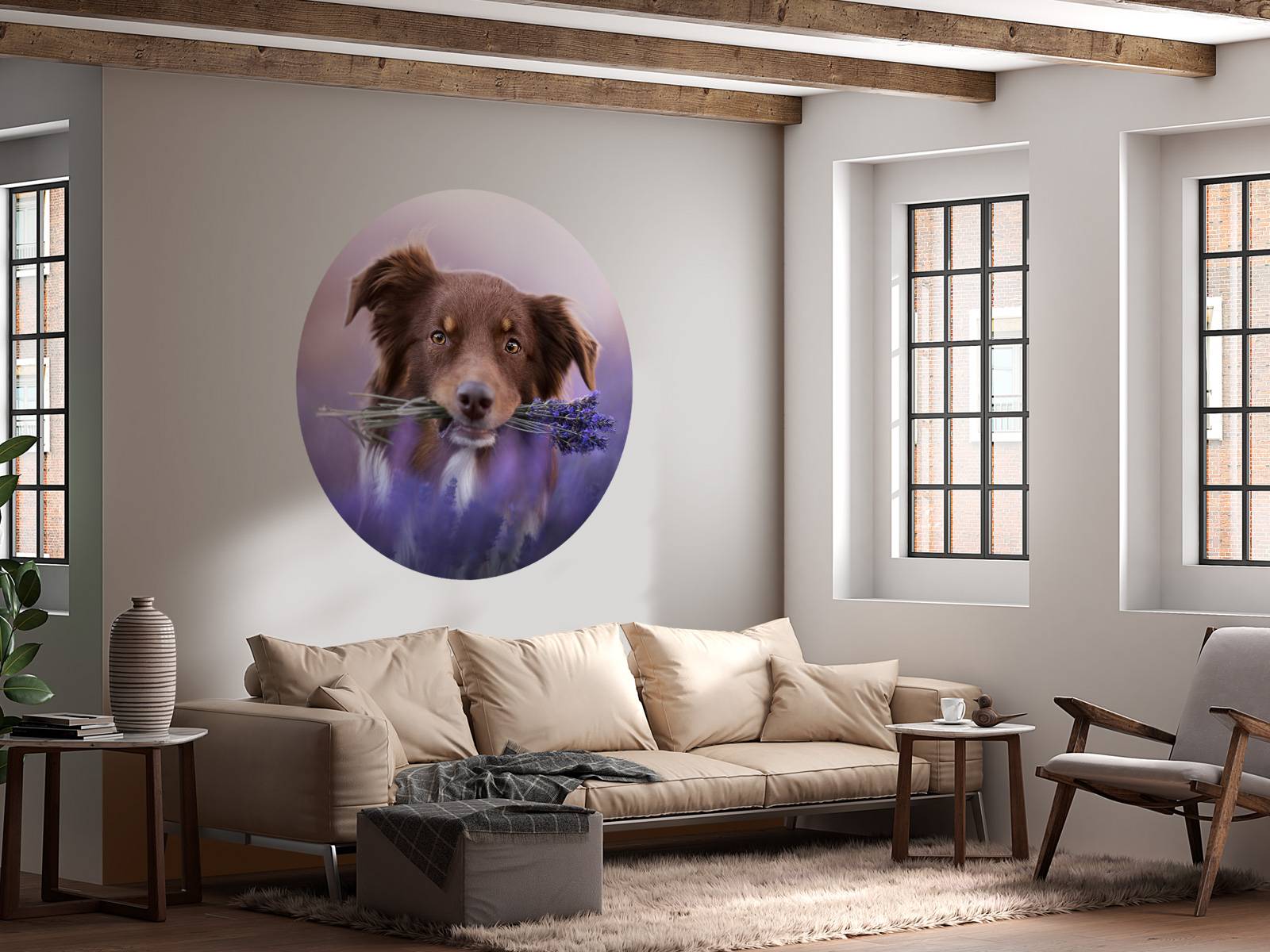 Chien à la lavande