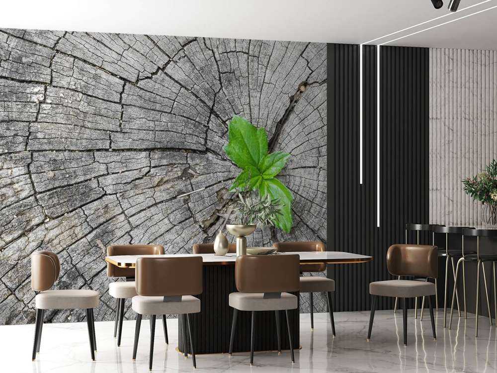 Diamètre d'un tronc d'arbre