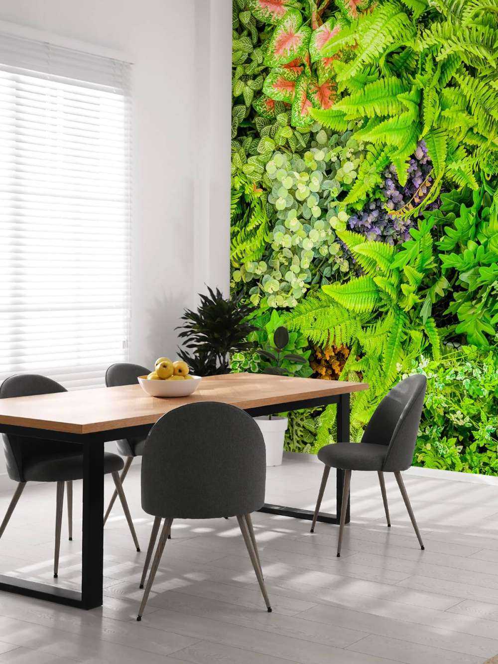 Mélange de plantes