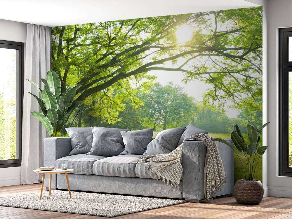 Bel arbre avec de l'herbe verte