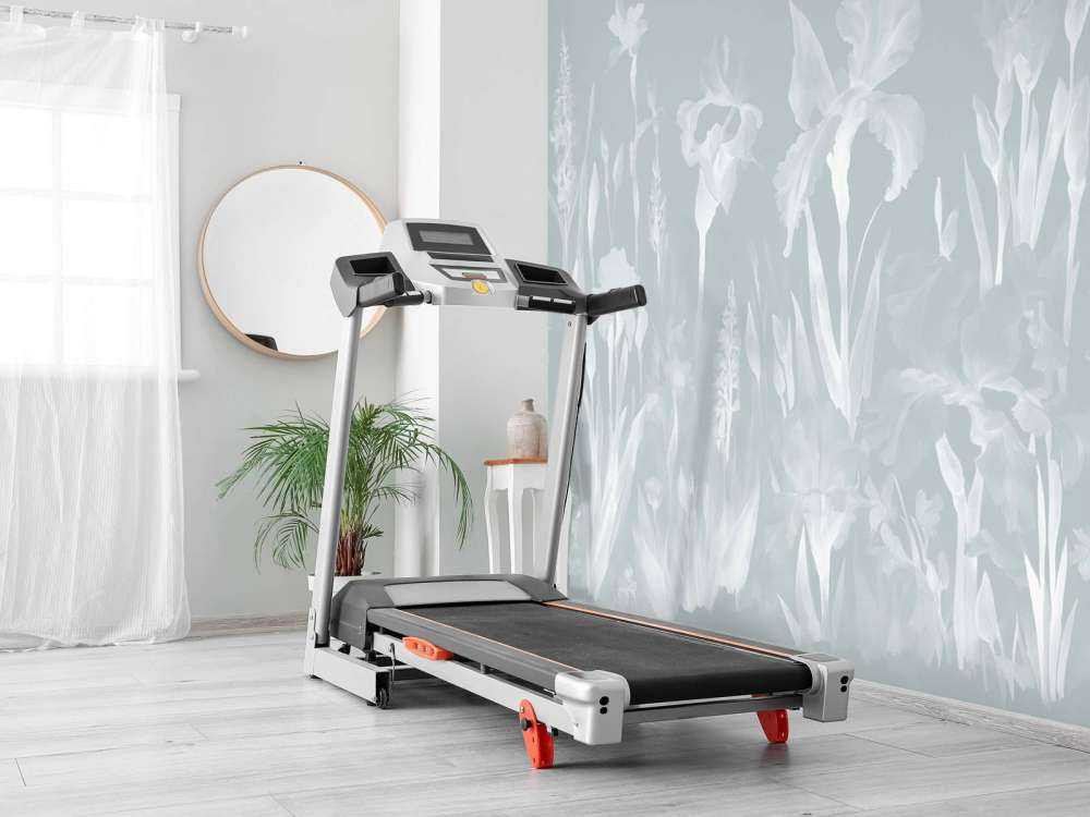 Joyeux printemps Cool Lilas