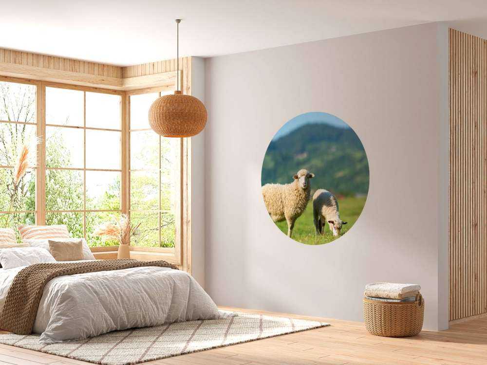 Deux moutons dans un pré