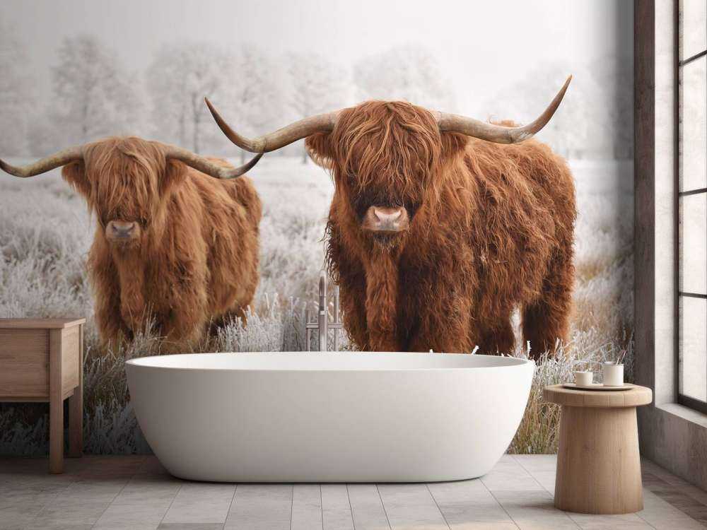 Hiver Highlander