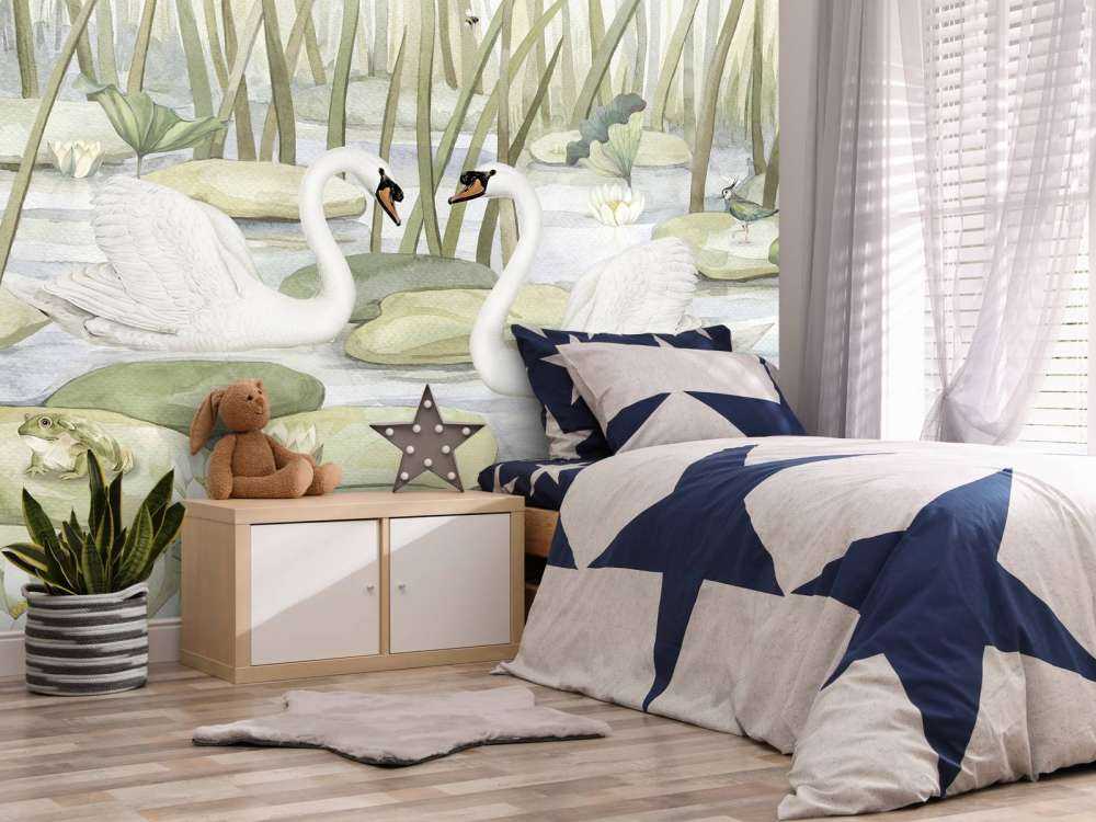 Spectacular Swans