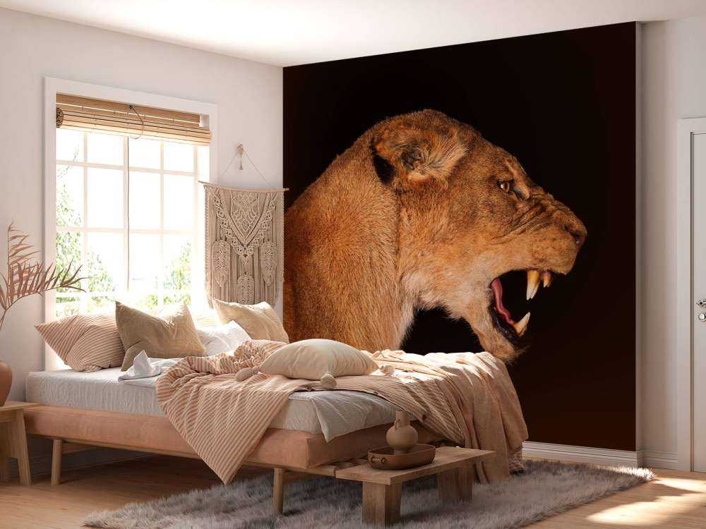 Lionne vue de côté