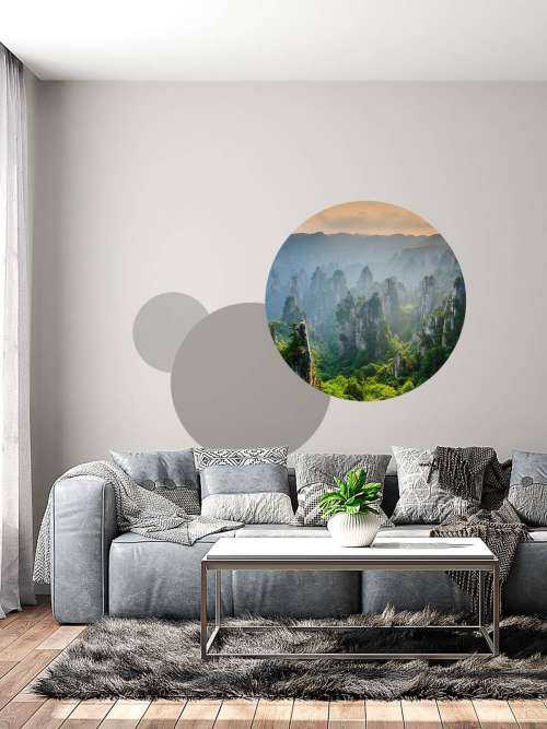 Jungle d'en haut