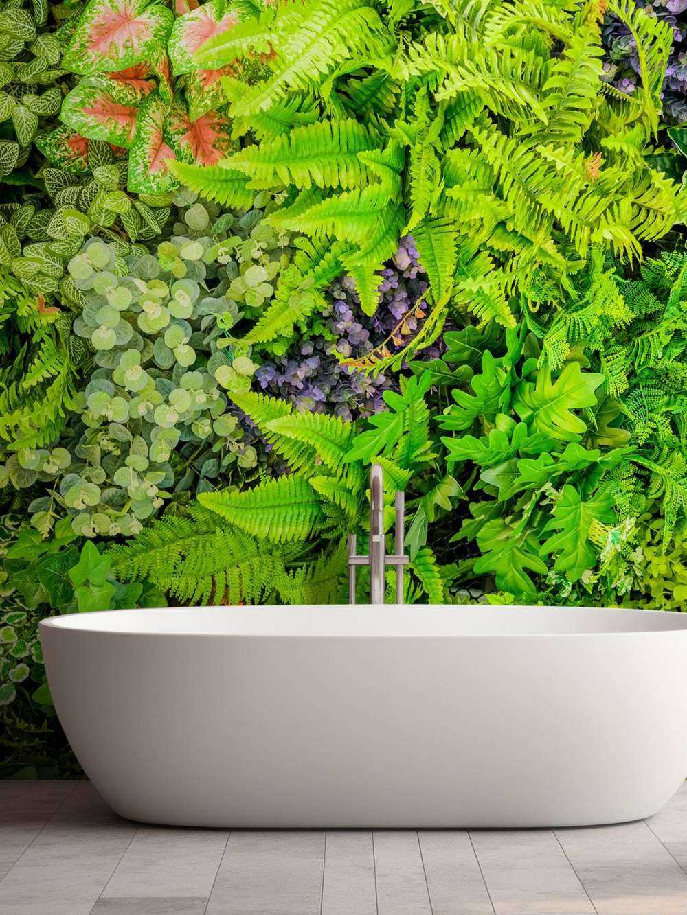 Mélange de plantes