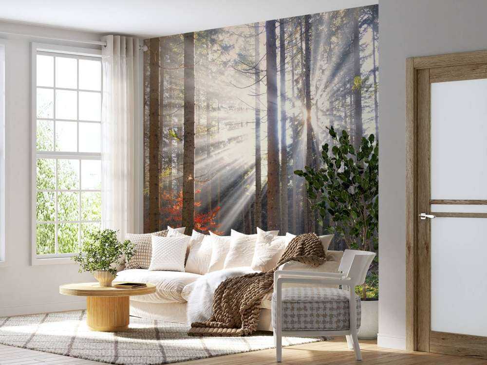 Ensoleillement en automne
