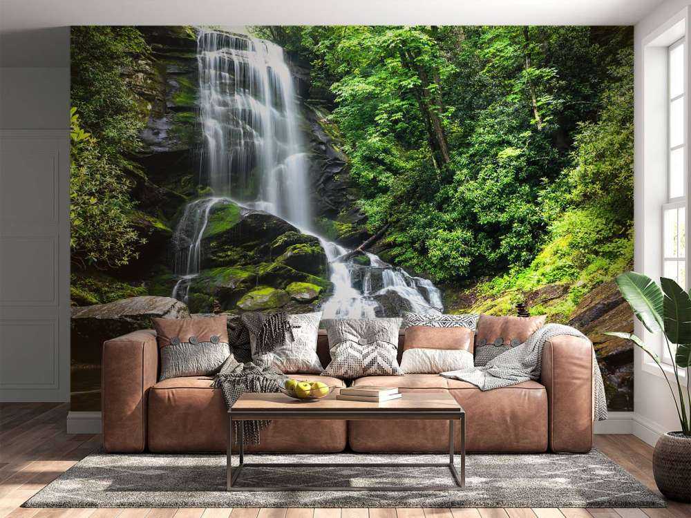 Chute d'eau de la jungle