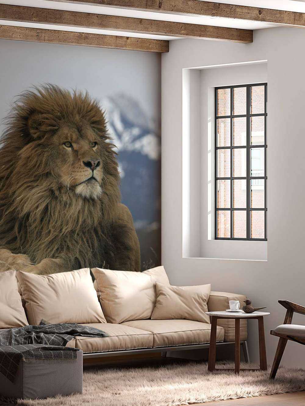 lion de Barbarie