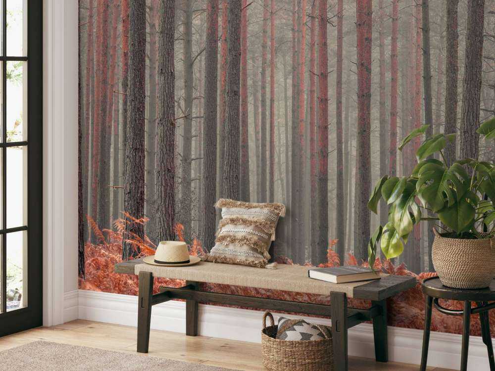Arbres en automne