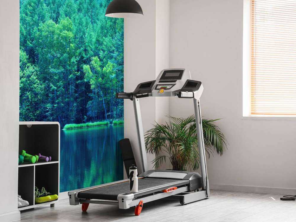 Lac dans une forêt verte