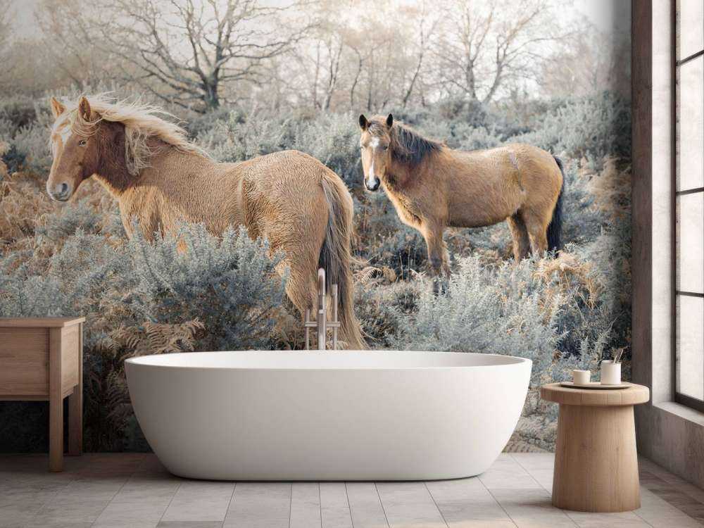 Chevaux sauvages