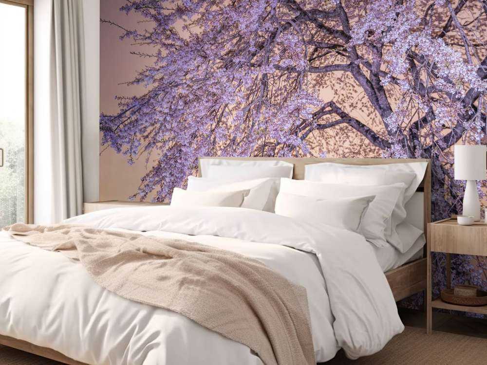 Fleurs au coucher du soleil