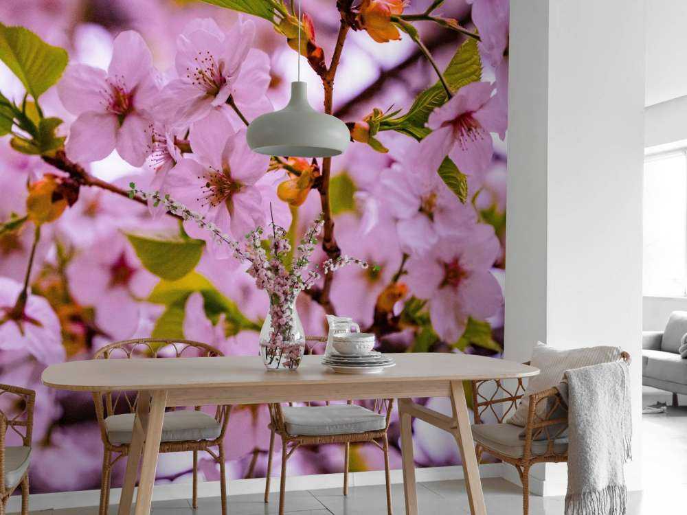 Fleurs roses avec pétales