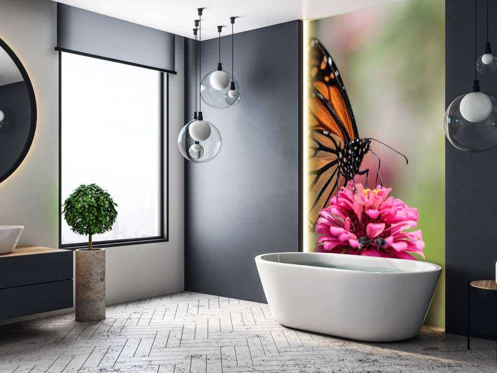 Papillon monarque