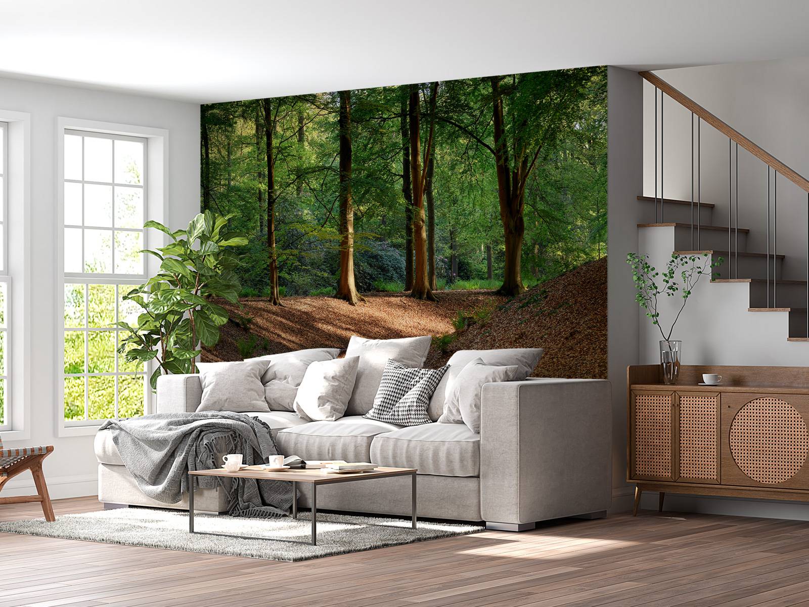 Ruisseau dans la forêt