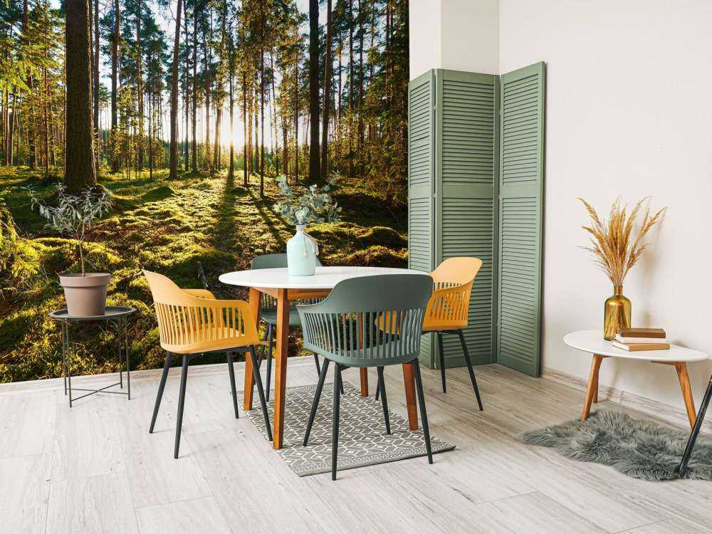 Forêt de pins