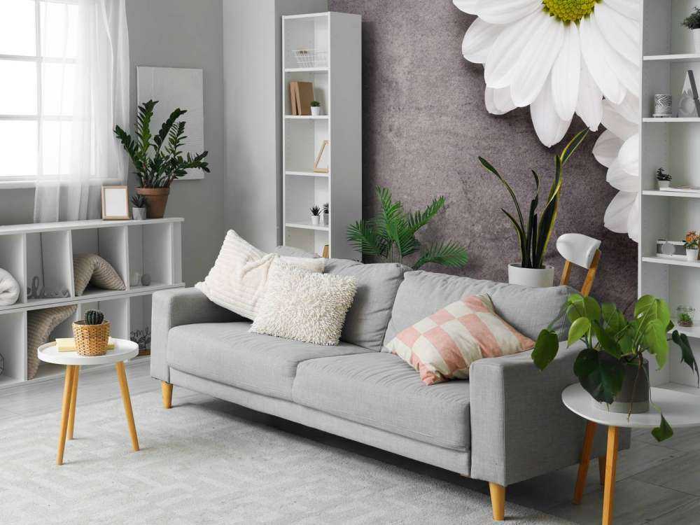 Marguerites et béton