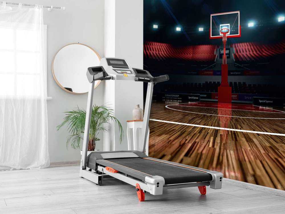Aréna de basket-ball