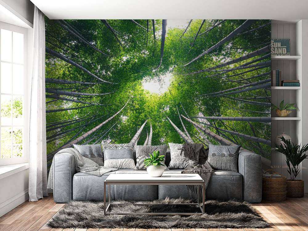Forêt avec bambou