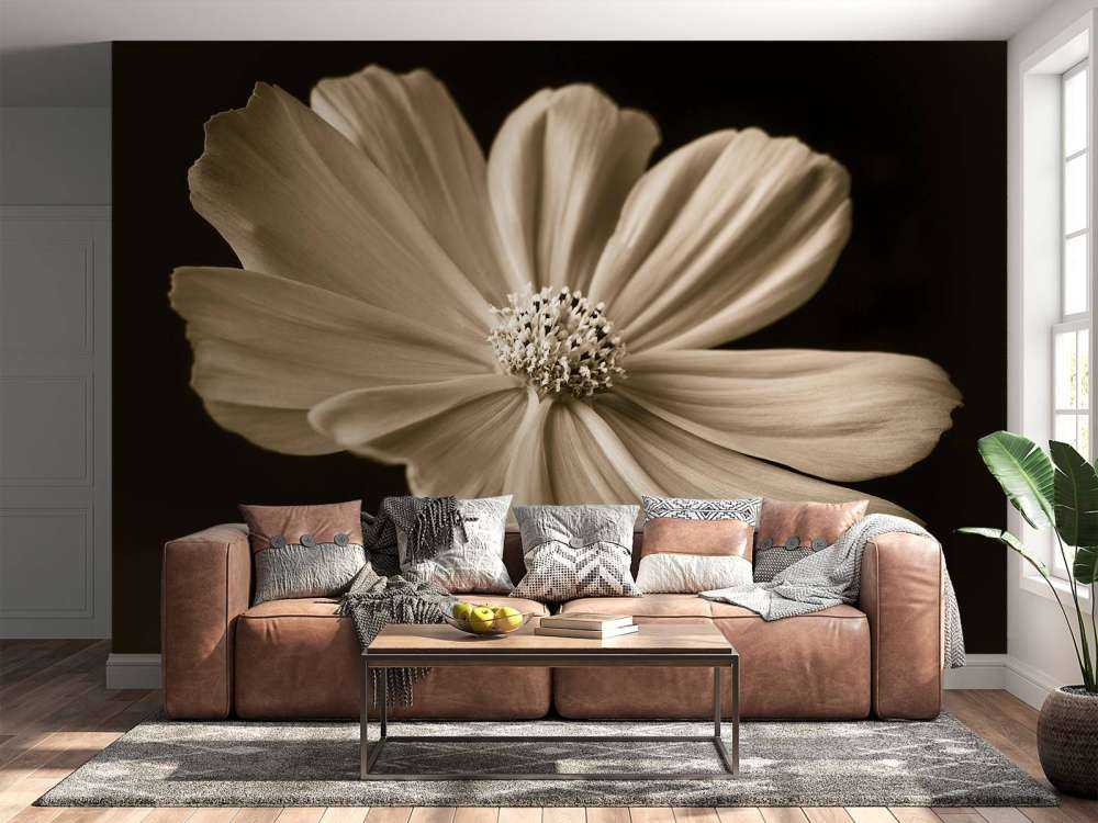 Fleur de cosmos