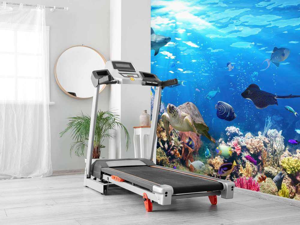 Poissons exotiques