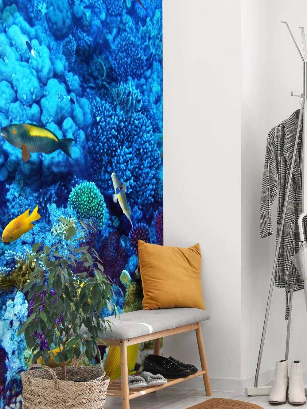 Poissons et coraux