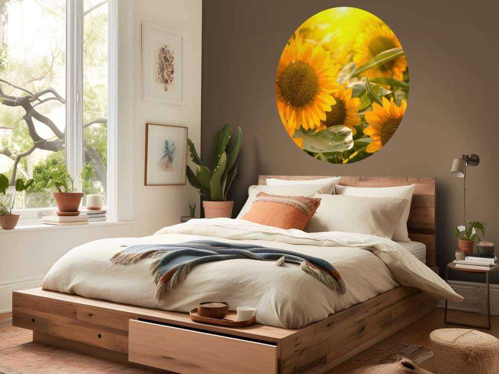 Les tournesols et le soleil