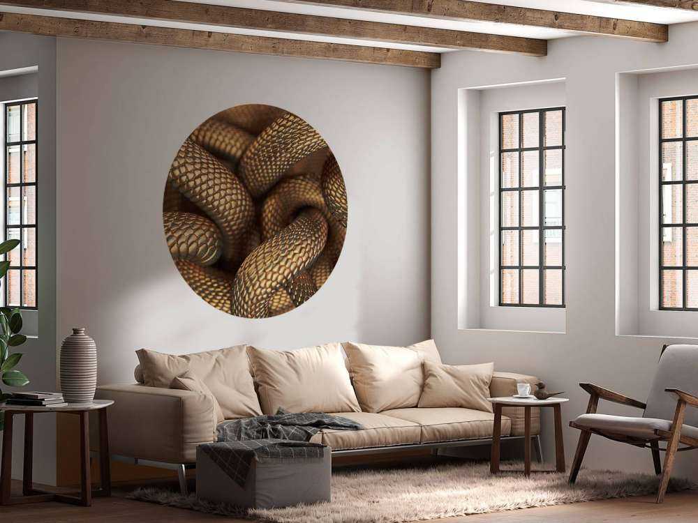 Serpents en bronze