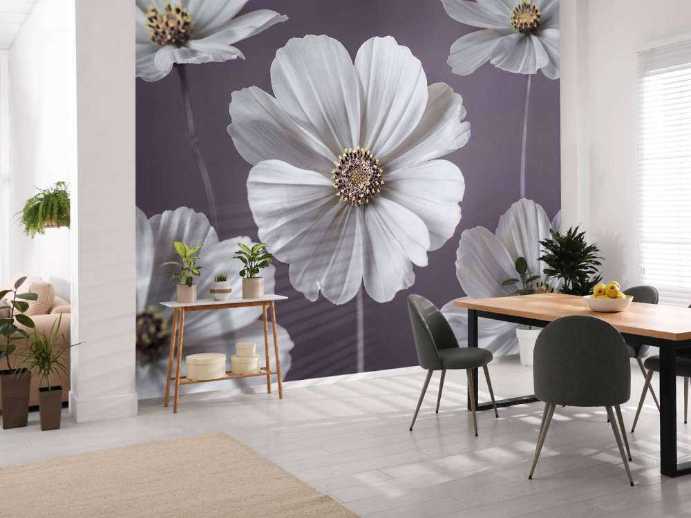 Fleurs de cosmos