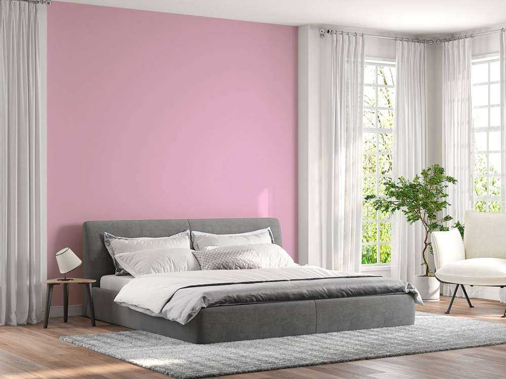 Rose pourpre