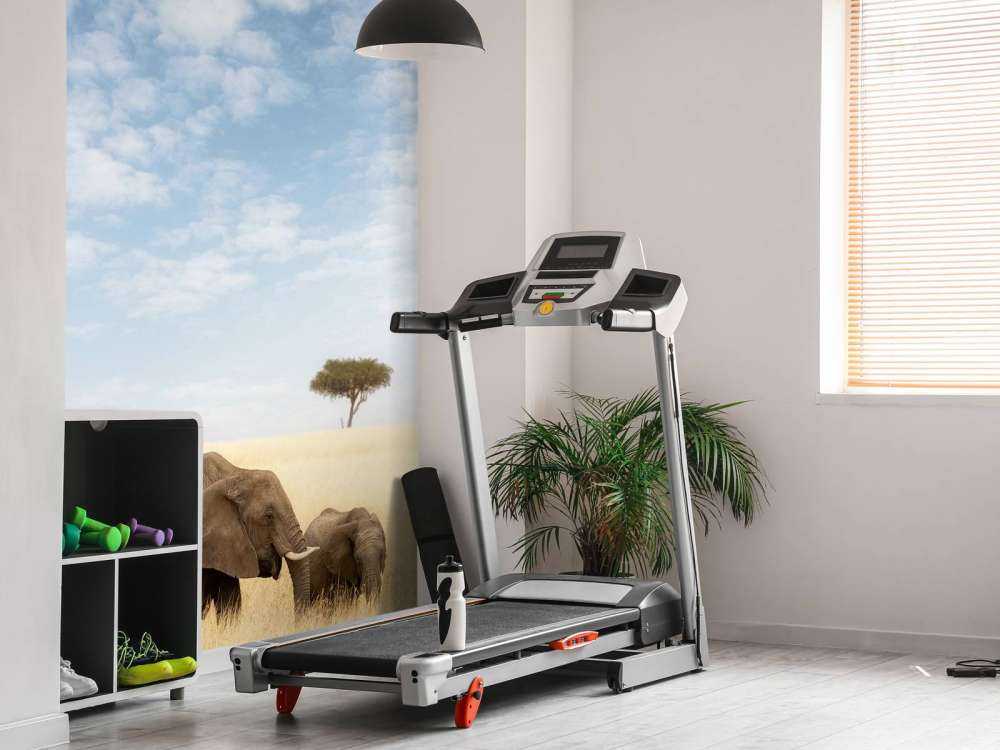 Groupe d'Éléphants