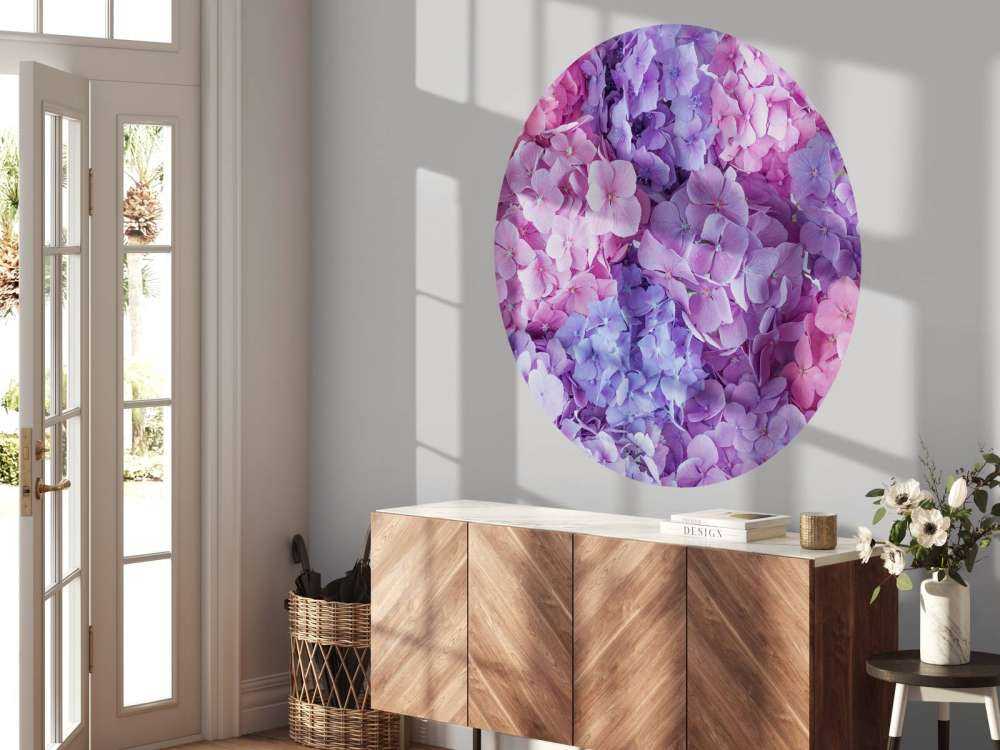 Hortensias multicolores